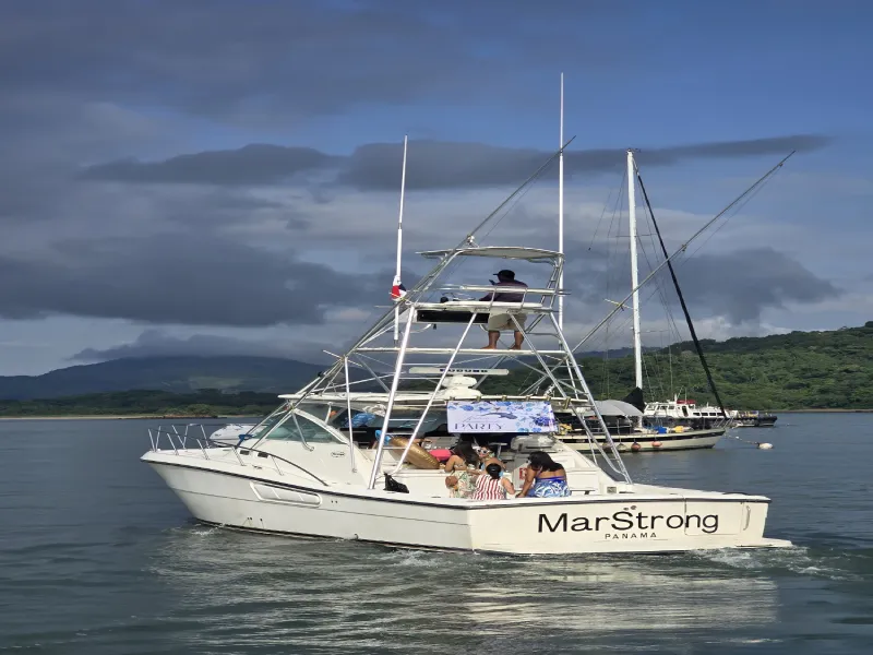 LURS 42 feet yacht